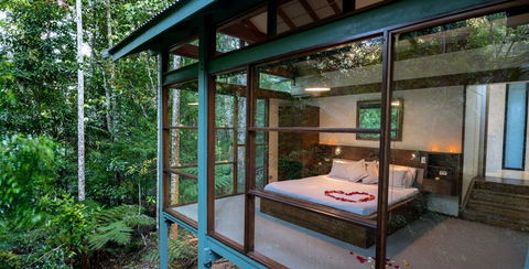 Crystal Creek Rainforest Retreat - Sydney 4u 3