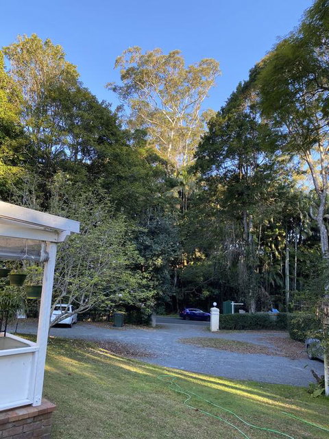 Curtis Falls Studio-Apartment - Accommodation Sydney 3