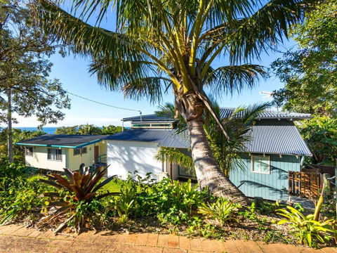 Cylinder Palms - Sydney 4u 0