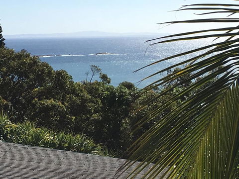 Cylinder Palms - Sydney 4u 1