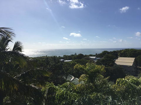 Cylinder Palms - Sydney 4u 3