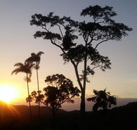 Daintree Holiday Homes - Yurara - Sydney 4u