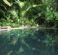 Daintree Rainforest Retreat Motel - Sydney 4u