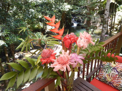 Daintree Secrets Rainforest Sanctuary - Accommodation Sydney 1