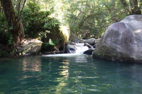 Daintree Secrets Rainforest Sanctuary - Accommodation Sydney 0
