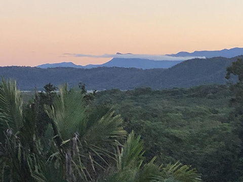 Daintree Valley Cottage - Sydney 4u 2