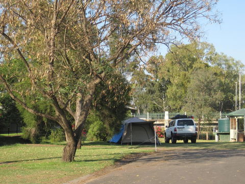 Dalby Tourist Park - Sydney 4u 3