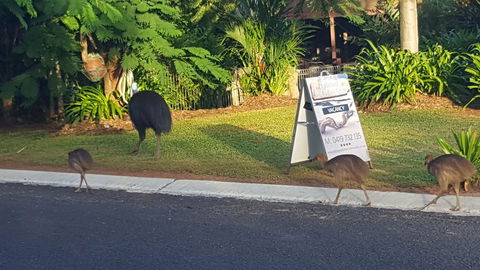 Driftwood Bed And Breakfast - Sydney 4u 1
