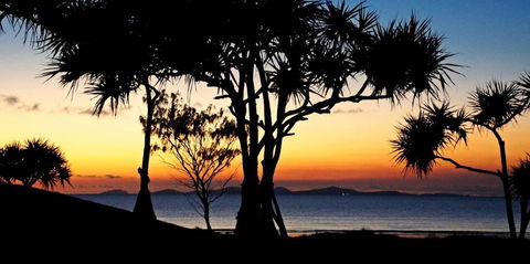 Driftwood Motel And Holiday Units - Sydney 4u 2