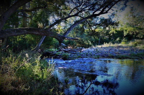 Eighteen Mile Cottage - Sydney 4u 1