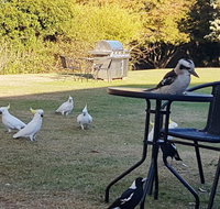 Eildon Parkview Motor Inn - Accommodation Sydney