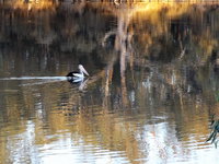 Book Euston Accommodation Vacations Accommodation Sydney Accommodation Sydney