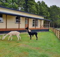 Farm Stay Lowana Strahan - Accommodation Sydney