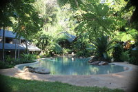 Ferntree Rainforest Lodge