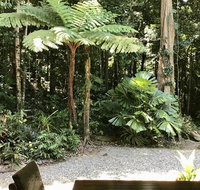 Forest Views Daintree - Sydney Resort