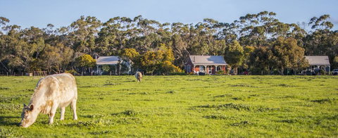 Freshwater Creek Cottages & Farm Stay - Accommodation Sydney 0