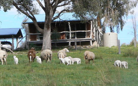 Gaddleen Grove Cottages - Sydney 4u 0
