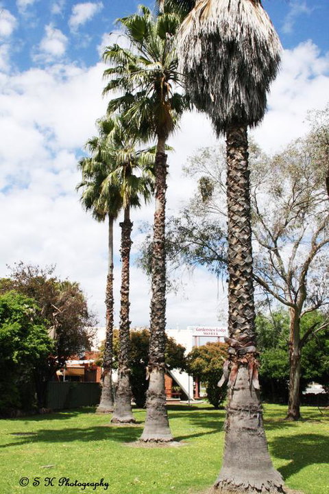 Gardenview - Accommodation Sydney 3