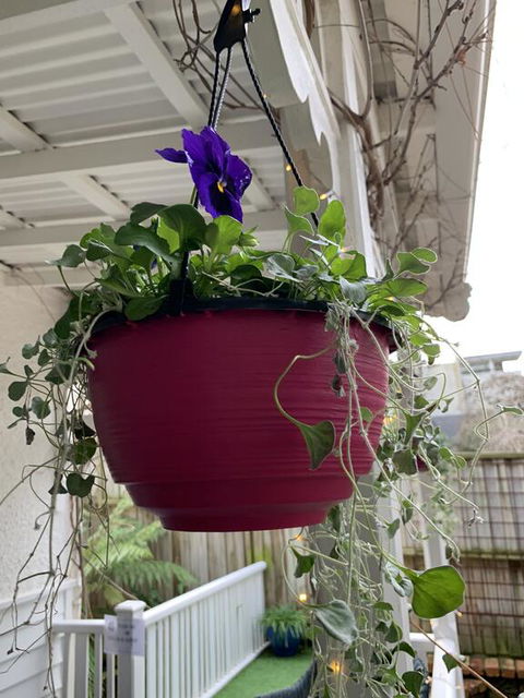 Genesta House - Accommodation Sydney 2