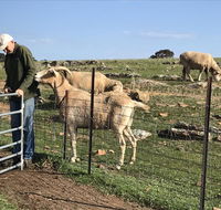 Gilgraves Vineyard Farmstay - Sydney 4u