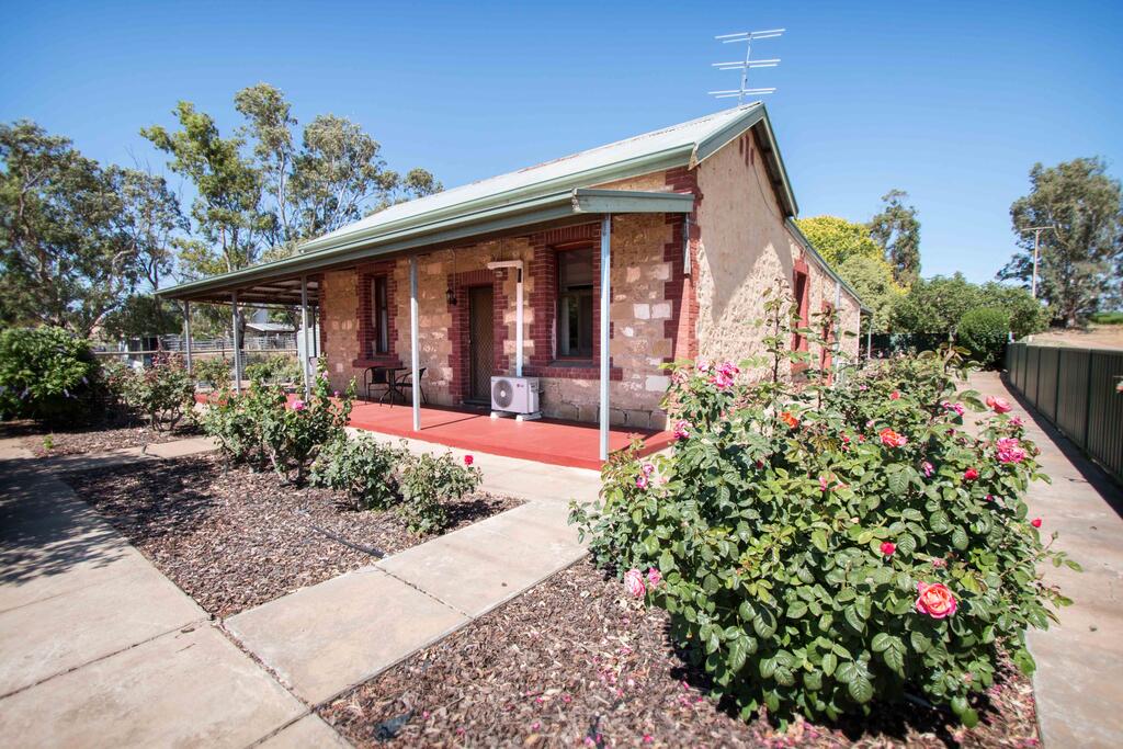 Petwood SA Sydney 4u