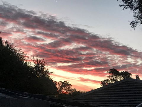 Guinevere - Accommodation Sydney 2