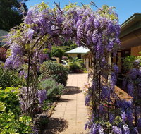 Gumtree House Montville - Accommodation Sydney