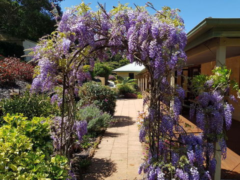 Gumtree House Montville - Accommodation Sydney 0