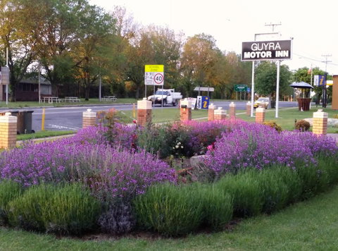 Guyra Motor Inn - Sydney Resort 1