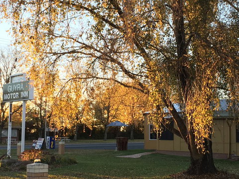 Guyra Motor Inn - Sydney Resort 2