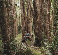 Habitat Noosa - Accommodation Sydney