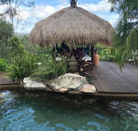 Hinterland Hideaway - Accommodation Sydney