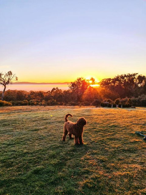 Horningsea - Sydney Resort 3