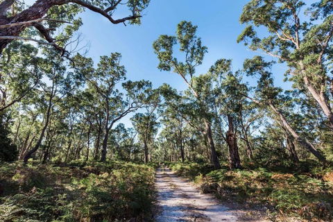 Jetty Views - Water Views On Raymond Island - Accommodation Sydney 1