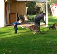 Kalgan River Chalets and Caravan Park - Sydney 4u