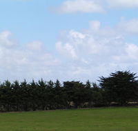 Karingal Homestead BB - Sydney 4u