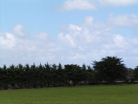 Karingal Homestead B&B - Sydney 4u 0