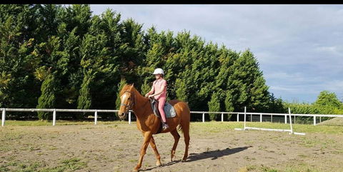 Kilfinan - Sydney 4u 0