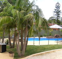 Koala Tree Motel