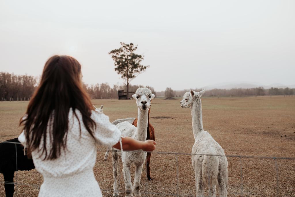 Darawank NSW Sydney Resort