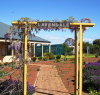 Lavendale Farmstay and Cottages York - Sydney 4u