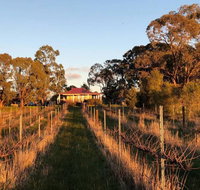 Lillicur Vineyard BB - Accommodation Sydney
