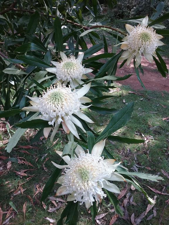 Hallston VIC Sydney Resort