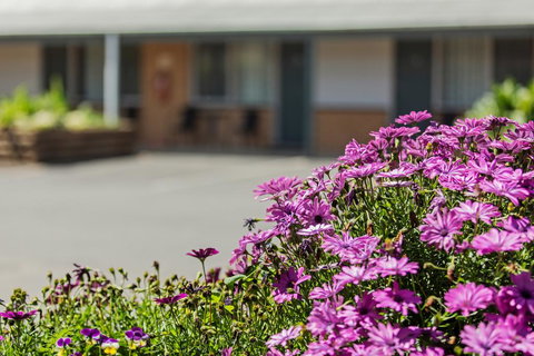 Maffra Motor Inn - Accommodation Sydney 2