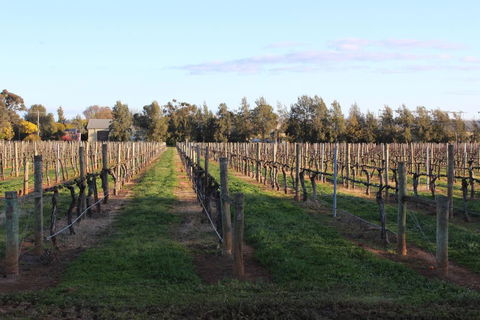 Milawa Vineyard Views - Guesthouse 1 - Sydney 4u 1