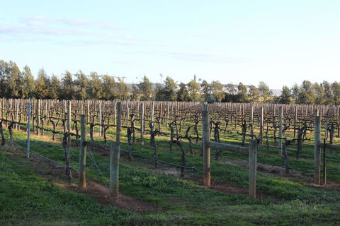 Milawa Vineyard Views - Guesthouse 2 - Sydney 4u 0