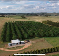 Millthorpe Truffles - Gorgeous getaway for 2 - Sydney 4u