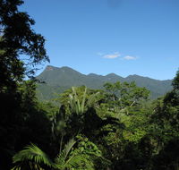 Mossman Gorge Bed and Breakfast - Accommodation Sydney