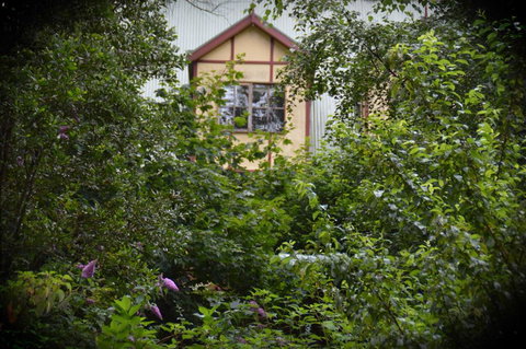 Mountain Lodge - Accommodation Sydney 1