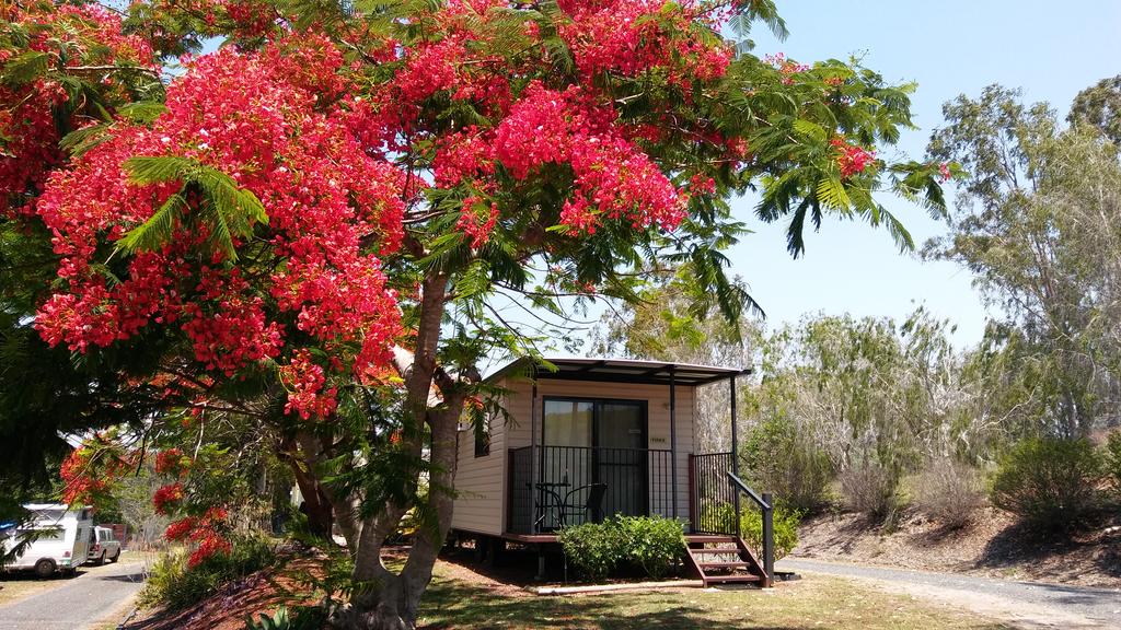 Mount Larcom QLD Sydney 4u
